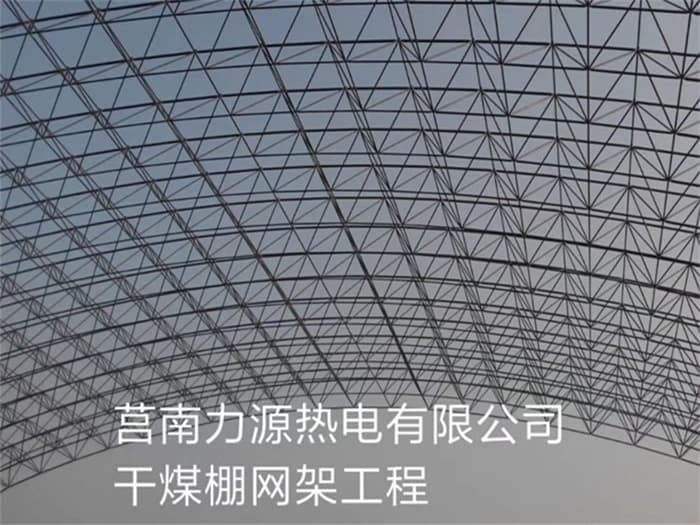 虎林力源热电有限公司干煤棚网架工程